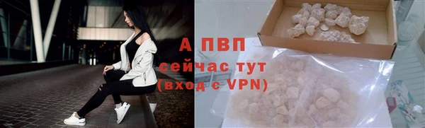 гидра Тайга