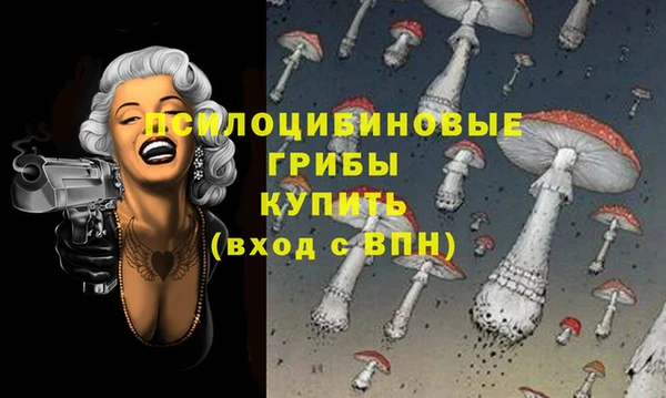 мдма Богородицк