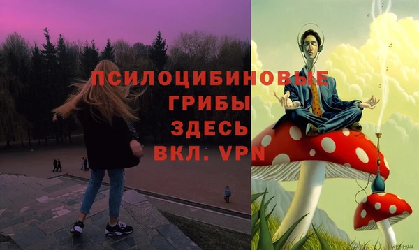 мдма Богородицк