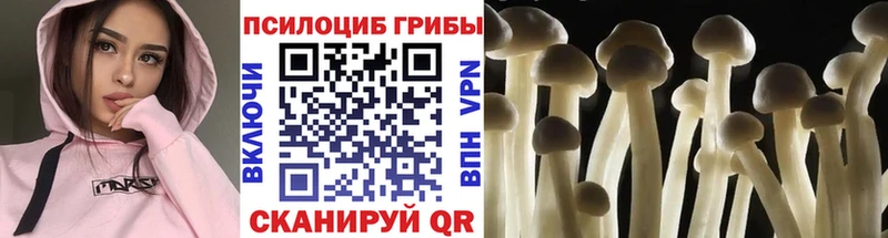 Псилоцибиновые грибы MAGIC MUSHROOMS  mega зеркало  Волосово 